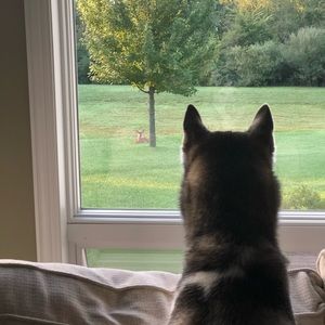 Meet your Posher, Ella